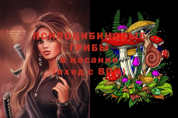 скорость Абаза