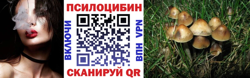 сколько стоит  Цимлянск  Псилоцибиновые грибы прущие грибы 
